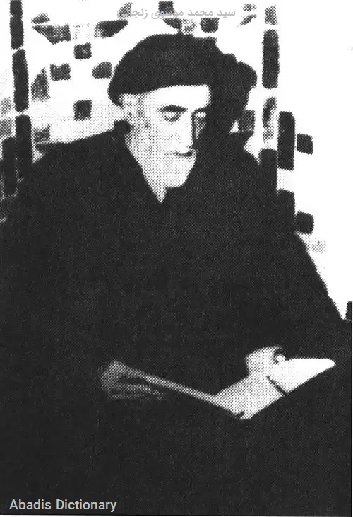 سید محمد موسوی زنجانی